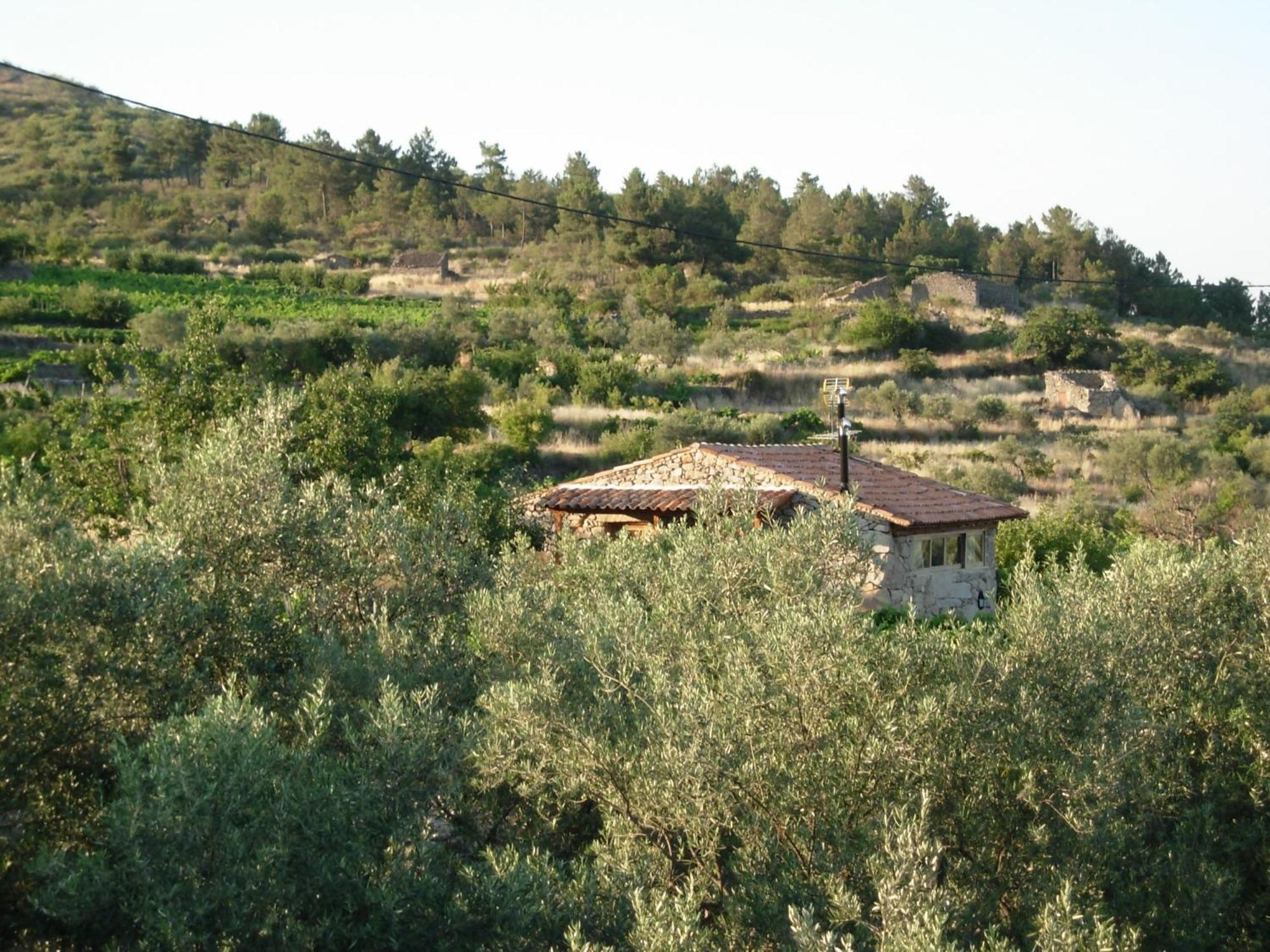 Outros Tempos Turismo De Aldeia Hotel Aricera Bagian luar foto