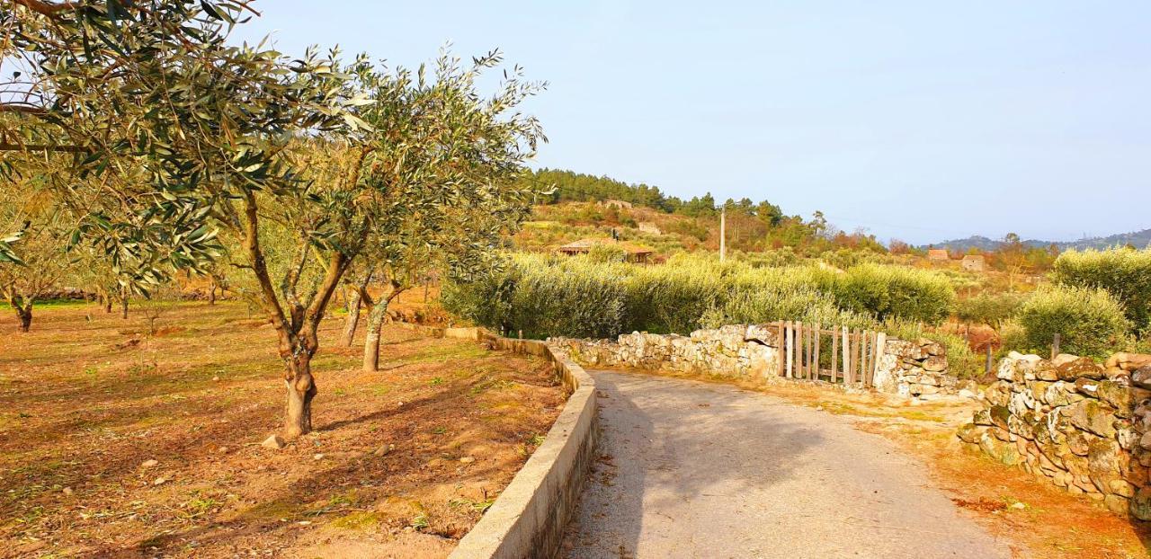 Outros Tempos - Turismo De Aldeia Hotel Aricera Bagian luar foto